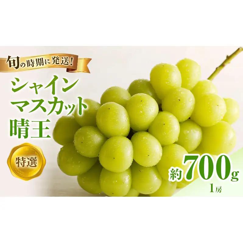 シャインマスカット 晴王 特選大房 岡山県産 シャインマスカット【1房 約700g】【先行予約】