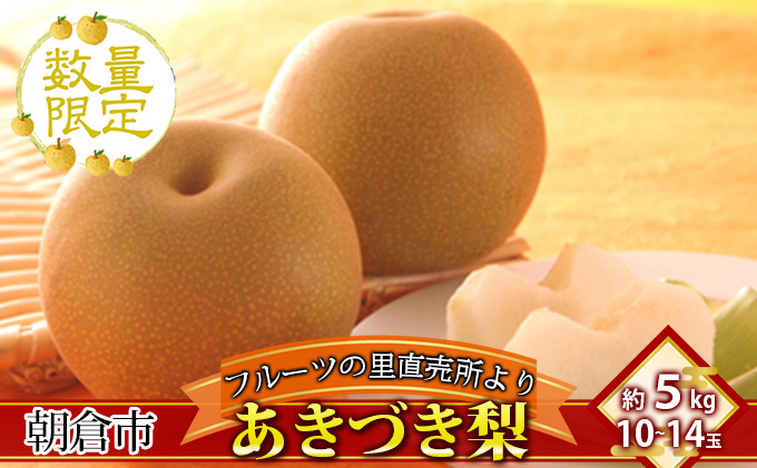 フルーツの里の直売所より あきづき梨 5kg ナシ 果物 先行予約 