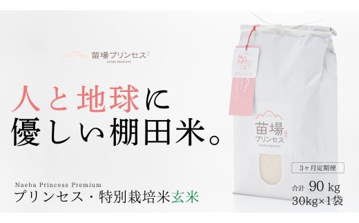 【令和8年産先行予約】【 定期便 3ヶ月 】特別栽培米 魚沼産コシヒカリ 玄米 30kg(10kg×3袋)| 苗場プリンセス米 おすすめ 人気ギフト 新潟県 津南町