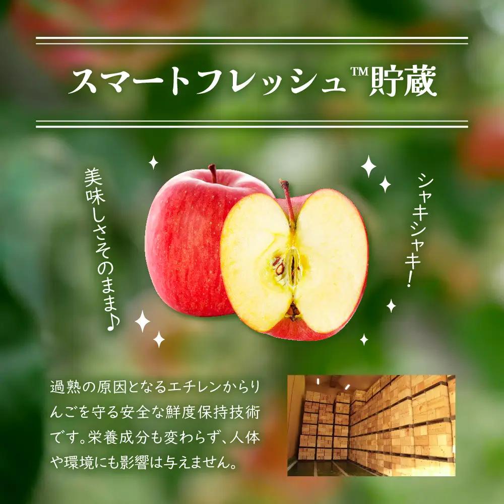 【2026年7月上旬発送】≪特選≫りんご有袋ふじ3kg スマートフレッシュ貯蔵またはCA貯蔵・クール便