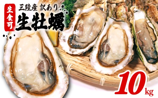訳あり 牡蠣 10kg かき カキ kaki 牡蠣 冷凍 岩手県産 殻付き牡蠣 生食 訳あり わけあり 大きさ不揃い 不揃い 三陸 三陸産 株式会社國洋 岩手県 大船渡市