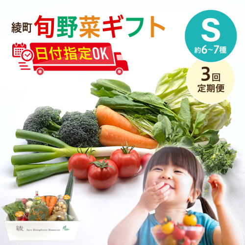 【3回定期便】綾町旬野菜ギフト〈 Sサイズ/約6-7種 〉1～2人分