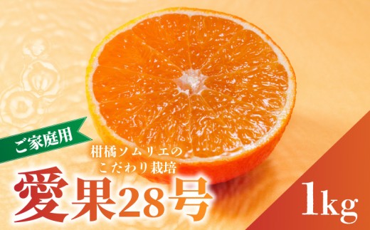 愛果28号 (紅まどんな と同品種) ご家庭用 お試し 1kg (4～5個) 【2026年11月下旬より順次発送】 | 訳あり 愛果 あいか 紅まどんな 紅マドンナ と 同品種 みかん まどんな ワケアリ 柑橘 みかん 果物  おすすめ 高級 人気 お取り寄せ グルメ ギフト 期間  ご当地 愛媛三大柑橘（ 紅まどんな せとか 甘平 ） 愛媛県 松山市  蓮果園