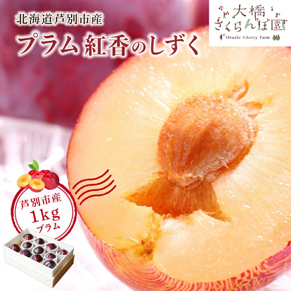 【ふるさと納税】【 先行受付 】プラム 紅香のしずく 1kg 北海道産 すもも フルーツ 果物 旬のフルーツ 旬の果物 くだもの 北海道 芦別市　お届け：2026年9月下旬頃～
