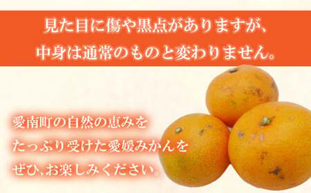 【愛媛みかん】 訳あり 5kg みかん