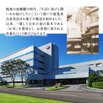 せんべい 詰め合わせ 亀田のあられ ・ おせんべい 厳選 詰合 A セット