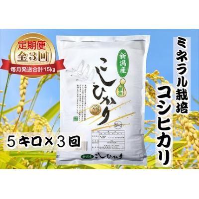 ふるさと納税 阿賀野市 【令和7年産先行受付】【3回定期便 】ミネラル栽培こしひかり 5kg×3回 計15kg