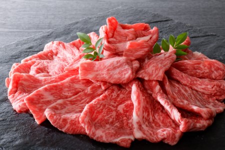 【数量限定】山形牛 最高級 プレミアム10ヶ月定期便　～贈る山形牛は【最高ランク】5等級のみ！～　（最高ランク 5等級 国産牛 食べ比べ 大活躍 お楽しみ すき焼き 焼き肉 しゃぶしゃぶ ステーキ ハ