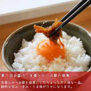 佃煮 定期便 3ヶ月 ご飯泥棒 つくだ煮 セット 鳥居商店 大正14年創業の昆布・佃煮専門店 老舗 根昆布 昆布 きくらげ 生姜 かつお節 鰹節 食べ比べ ごはんのお供 ご飯のお供 お弁当 おかず 惣