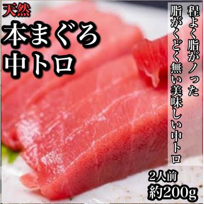 ふるさと納税 小田原市 天然本鮪 中トロ 約200g　2人前●くどくない上質な脂が美味しい中トロ!【神奈川県小田原市早川】