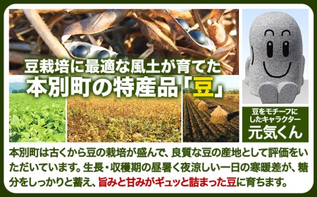 令和7年度産 北海道十勝 本別町産 金時豆 4kg 本別町農業協同組合《60日以内に出荷予定(土日祝除く)》
