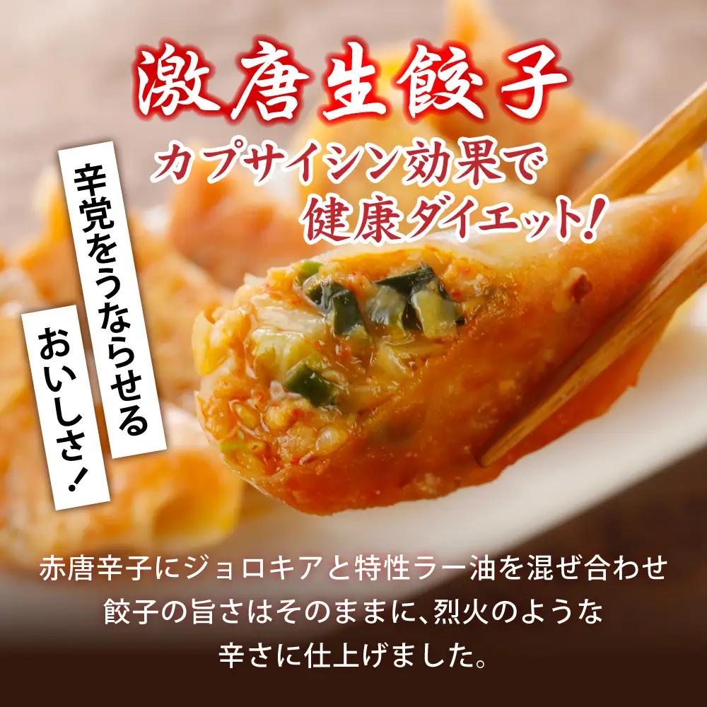 餃子 こだわり本格 生餃子 5種 食べ比べ セット 50個入り (10個×各5種類) 