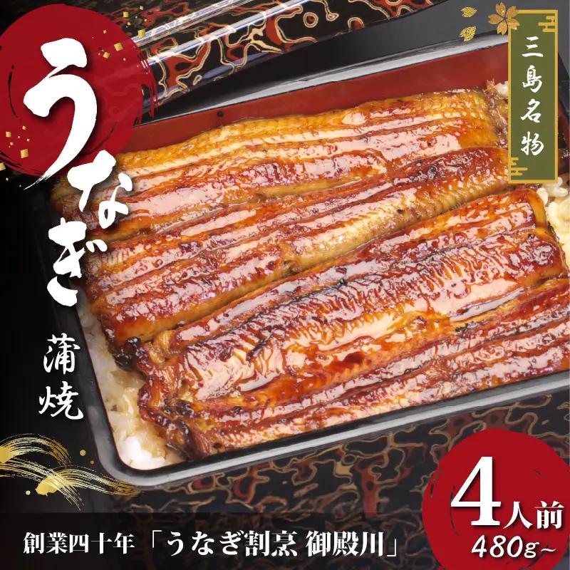 うなぎ蒲焼 4人前 480g～ 冷蔵 静岡名産 三島名物 真空パック 御殿川 極上うなぎ 熟練職人 土用丑の日 晩ごはん 家族 惣菜 うなぎ 鰻重 うな重 蒲焼き 老舗 うなぎ料理 川魚 和食 グルメ 贈り物 ギフト 特産品 うなぎの蒲焼 鰻料理 うなぎ専門店 うなぎ通販 お取り寄せ 三島市 静岡県
