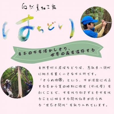 ふるさと納税 八頭町 [きらめ樹 間伐材] ディッシュプレート(大) |  | 02