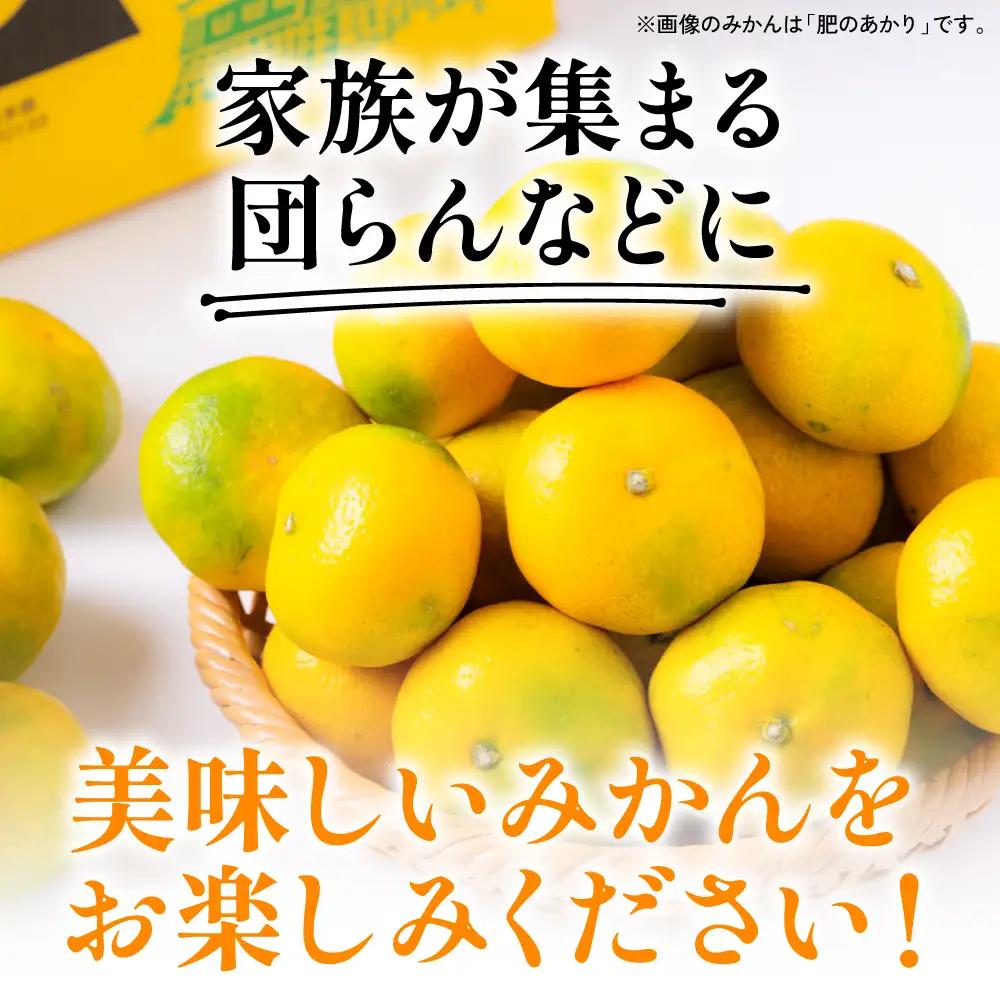 【先行予約】みかん 数量限定 八代市東陽町産の季節のみかん5kg みかん 【2026年9月下旬より順次発送】 