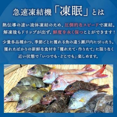 ふるさと納税 竹原市 漁協直送!瀬戸内海 天然地魚 お刺身 3種セット 500g【急速凍結 小分け 骨取り】 |  | 02