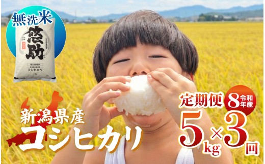 先行予約 令和8年産 無洗米 コシヒカリ 定期便 5kg 3回 15kg 特別栽培米 コンテスト 入賞 【 3か月 コンテスト 入賞米 米 おこめ お米 ブランド米 ご飯 ごはん オニギリ お弁当 kome 送料無料 数量限定 農家直送 産地直送 国産 川瀬農園 四代目 悠助 新潟 新発田 kwsMKH004_202609  】　