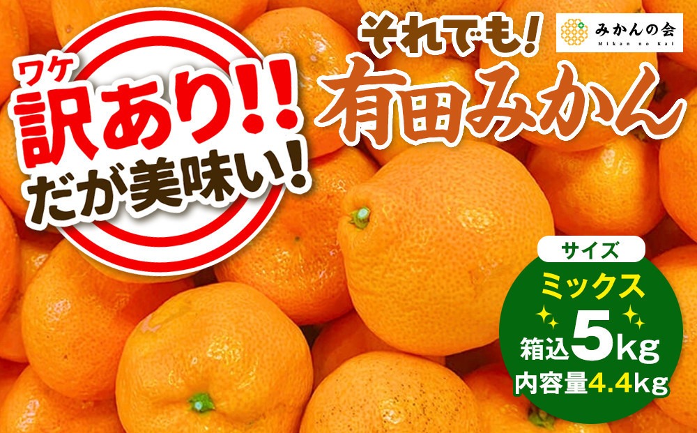 訳あり それでも 有田みかん 箱込 5kg (内容量約 4.4kg)  サイズミックス B品 有田みかん 和歌山県産 産地直送 家庭用［2025年11月中旬より順次出荷予定］［みかんの会］ AX213