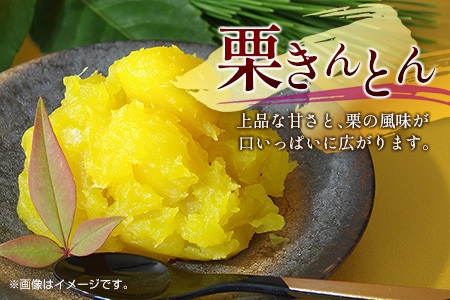 ＜訳あり＞期間限定 国産 低温熟成栗（むき栗）500g 産地直送 お取り寄せ 熟成宝珠栗 宮崎県新富町産【B505-25】