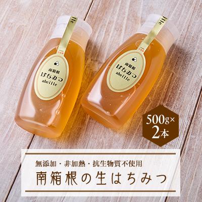 ふるさと納税 函南町 南箱根の生はちみつ 500g×2
