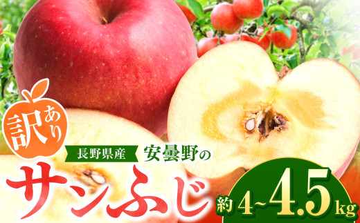 【2026年先行予約】訳あり サンふじ 4~4.5kg ｜ 東印平林農園 エコファーマー認定 リンゴ りんご 林檎 果物 フルーツ 果実 さんふじ 家庭用 わけあり 訳アリ 長野県 松川村