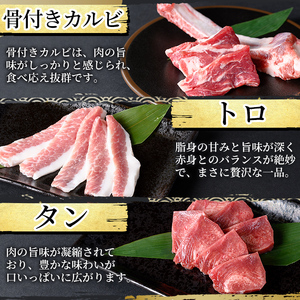 K-602 《ゲンセン霧島認定》霧島高原純粋黒豚焼肉・鶏刺しセット(計600g)オリジナル黒酢たれ付！【焼肉厨房わきもと】霧島市 豚肉 ヤキニク 焼き肉 国産 鶏肉 肉 豚 鶏 セット