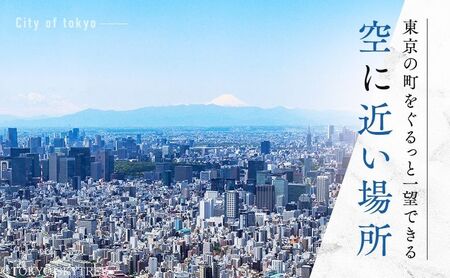 【有効期限：2025年3月31日】東京 スカイツリー 展望台 入場引換券 天望デッキ ・ 天望回廊セット券 大人 1枚 有効期間 6ヶ月 （2024.10.1～2025.3.31） TOKYO SKY