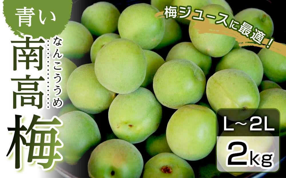 
                  青い南高梅 2kg  L〜2L寸 紀州特産 梅酒 梅ジュースに最適！ 【先行予約：2026年6月1日以降順次発送】
                