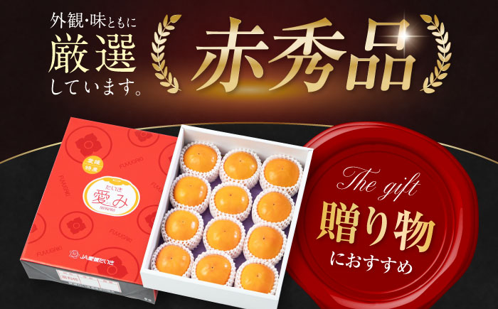 【先行予約】【11月上旬から順次発送】【期間・数量限定】愛媛県産 富有（ふゆう）柿 2Lサイズ 約3kg化粧箱入（12玉入り） かき カキ 柿 果物 フルーツ 愛媛県大洲市/愛媛たいき農業協同組合[A