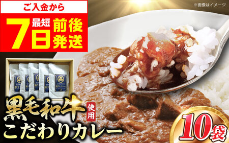 【年内発送】和牛カレー 10袋[AOAI004] カレー