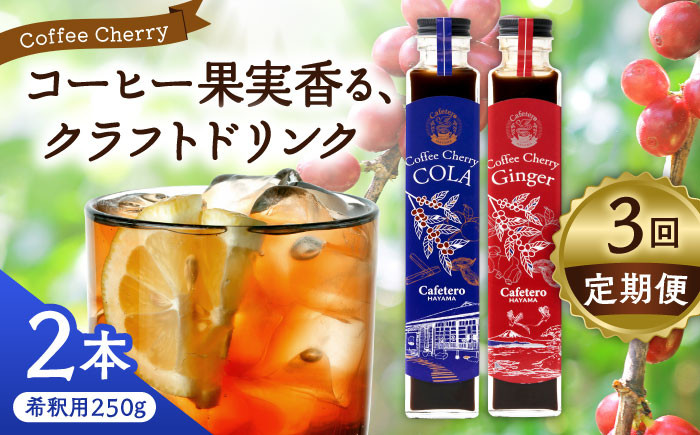 
            【先行予約】【2025年9月中旬から順次発送】【全3回定期便】カフェテーロ葉山　コーヒーチェリーコーラ 1本 コーヒーチェリージンジャー 1本 計2本 / コーラ エナジードリンク 酸味 コーヒー  神奈川県 葉山町 クラフトコーラ 天然 ドリンク 炭酸【合同会社エンディレクト】 [ASBM022]
          