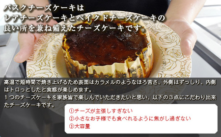 【ふるさと納税】バスクチーズケーキ　600ｇ 洋菓子 スイーツ ギフト スイーツセット お歳暮 クリスマス  九州 福岡県 送料無料 M699 〈株式会社いろは〉
