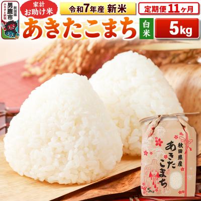 ふるさと納税 男鹿市 《定期便11ヶ月》令和7年産 【白米】家計お助け米 あきたこまち 5kg|23_kml-010511