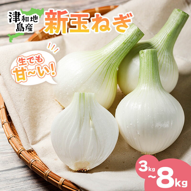 【ふるさと納税】 【先行予約】 津和地新玉ねぎ 3kgから8kg【津和地ブランド玉ねぎ】愛媛 松山 ブランド玉ねぎ 津和地島産 野菜 農家直送 期間限定 たまねぎ ドレッシング スープ ハンバーグ サラダ 人気 おすすめ