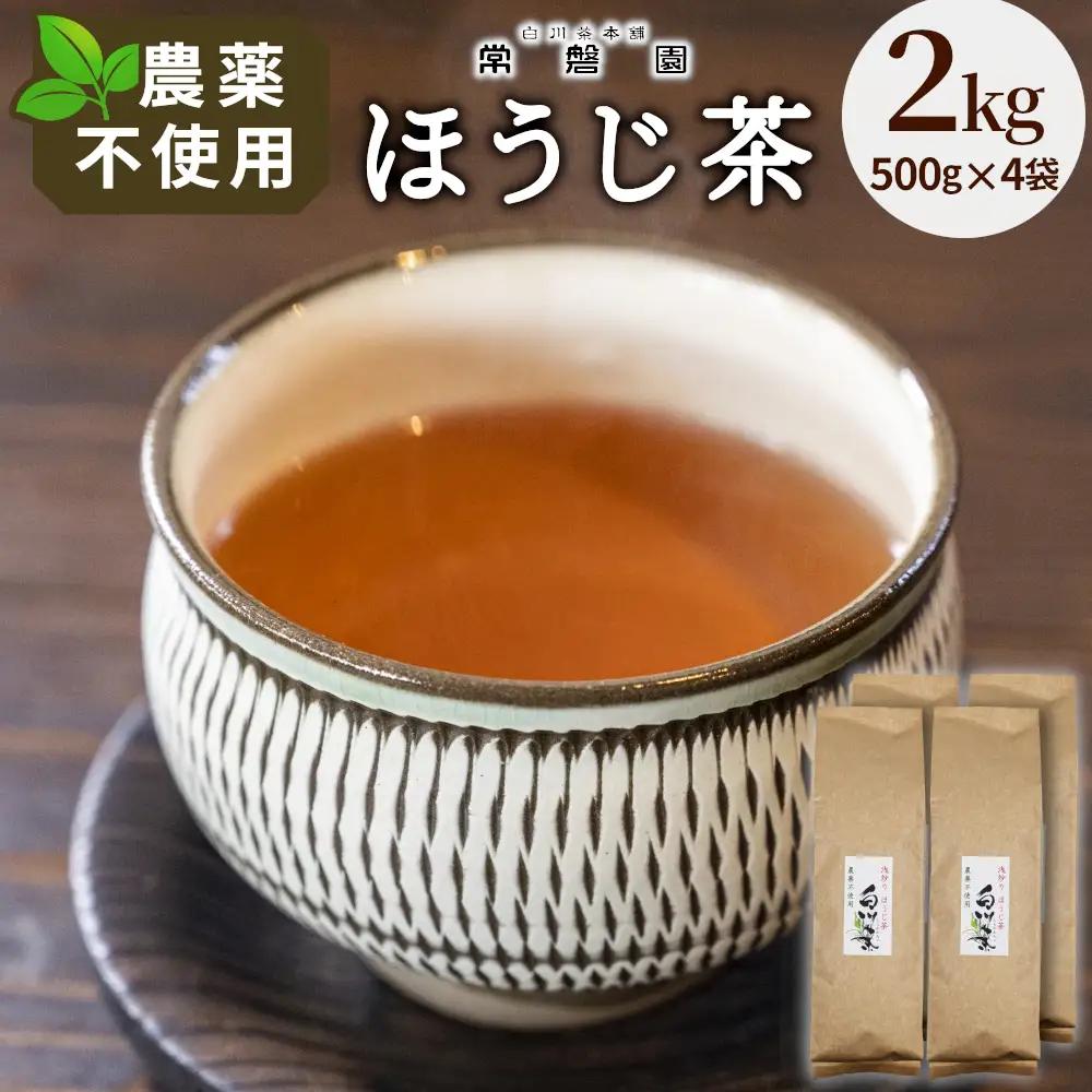 農薬不使用！浅炒りほうじ茶 2kg (500g×4) 常磐園 ほうじ茶 浅炒り 白川茶 日本茶 茶葉 お茶 春摘み 大容量 岐阜県 東白川村 お取り寄せ