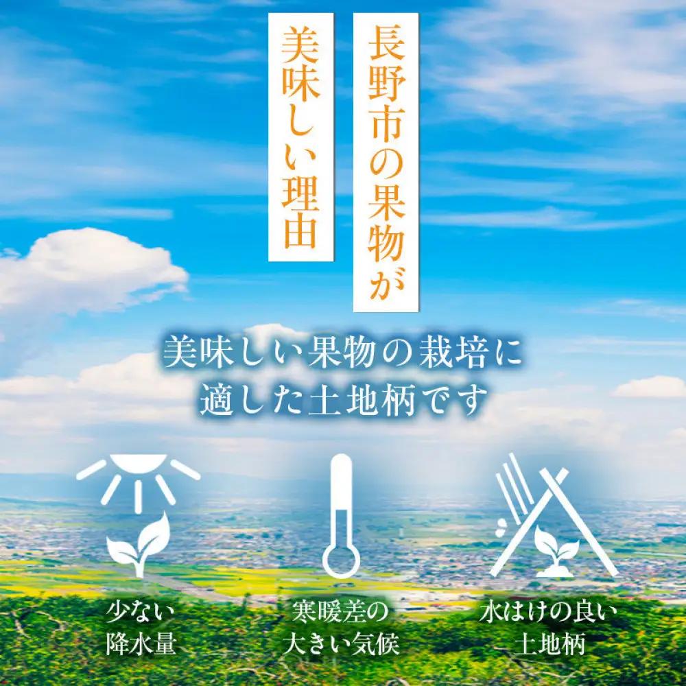 2026年産ぶどう  種なし 巨峰 約4kg 6～12房入り 果物 ブドウ 葡萄 フルーツ デザート おやつ 信州 2026年秋発送 |  果物 ブドウ 葡萄 フルーツ デザート ぶどう 種なし フル