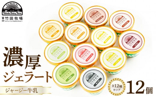 
ジャージー牛乳の濃厚ジェラート！竹田ジェラート |全12種類|カップ
