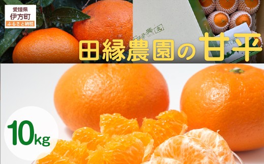 【先行予約】【家庭用】甘平 10kg ※離島への配送不可 （2026年1月25日より順次発送） 【 ふるさと納税 人気 おすすめ ランキング みかん ミカン 蜜柑 甘平 かんぺい フルーツ 果物 愛媛県産 田縁農園 愛媛県 伊方町 送料無料 】 IKTA032