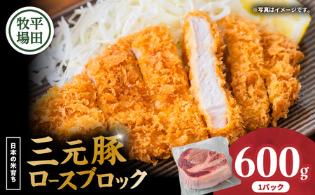 【 平田牧場 】 三元豚 ロース ブロック 600g T036-014 肉 お肉 にく 豚 豚肉 ブタ ぶた ロースブロック 黒豚 バークシャー種 特別品種 便利 パック おかず 夕食 美味しい おいしい ジューシー ふるさと納税 北海道 苫小牧市 おすすめ ランキング プレゼント ギフト