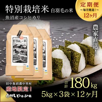 ふるさと納税 十日町市 【毎月定期便】農家直送!魚沼産コシヒカリ特別栽培 精米(5kg×3袋)全12回