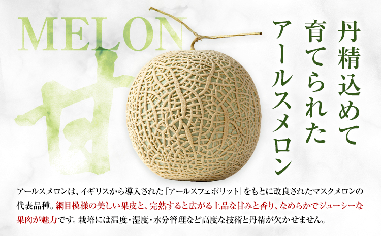 アールスメロン 約2kg×3玉 特選 (約6kg)【養生市場】メロン 果物 フルーツ マスクメロン 九州産 熊本県産 送料無料 《2026年10月中旬-11月中旬頃出荷予定》---003-1152--