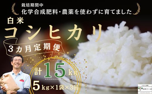 
定期便　米　15キロ　炊きあがりのつやと香りが良く、うま味も強い　コシヒカリ　佐久穂とさや農園〔ST-W5-1-T3〕５キロ×１袋　３カ月　計15キロ
