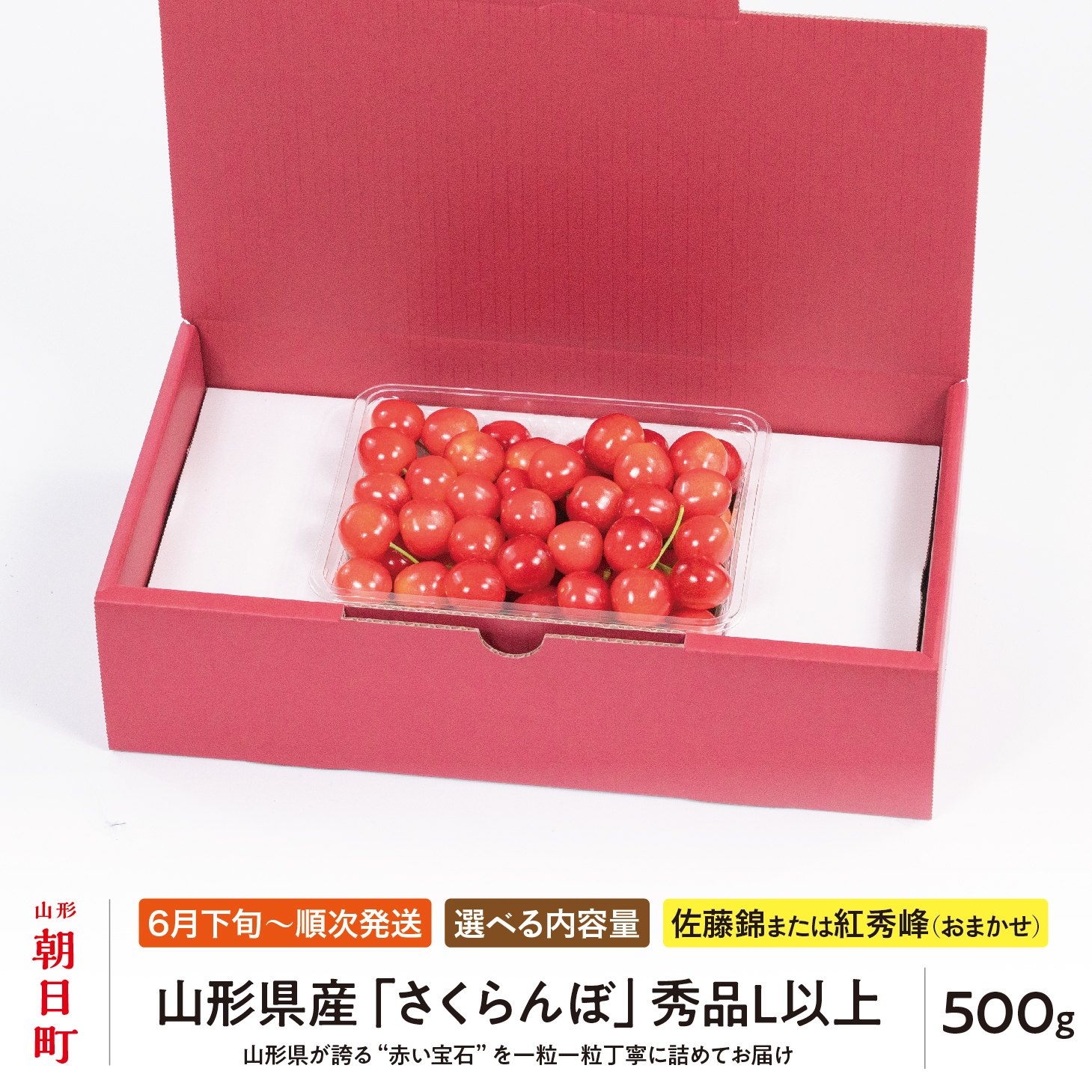 ＜ 先行予約 ＞ 山形県産 さくらんぼ （ 佐藤錦 ・ 紅秀峰 ） 秀品 L以上 500g 【2026年6月下旬から7月上旬発送】 山形県 果物 フルーツ 初夏 夏 送料無料