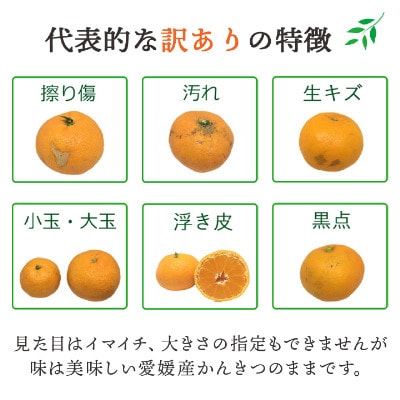 【発送月固定定期便】愛媛の人気品種を厳選!みかん定期便(訳あり)【H25−171】全12回【配送不可地域：離島】【4056289】
