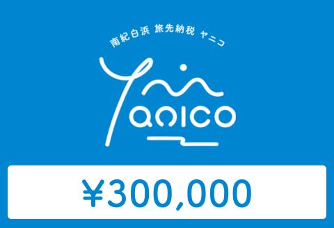 【ANAの旅先納税】電子商品券「Yanico」（300,000円分）