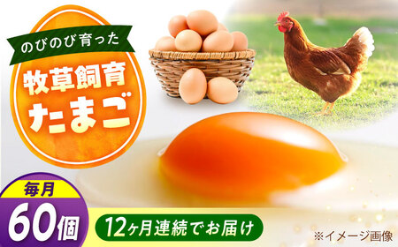 【全12回定期便】天心山 たまご 60個（10個入り×6パック）[BABW040] たまご
