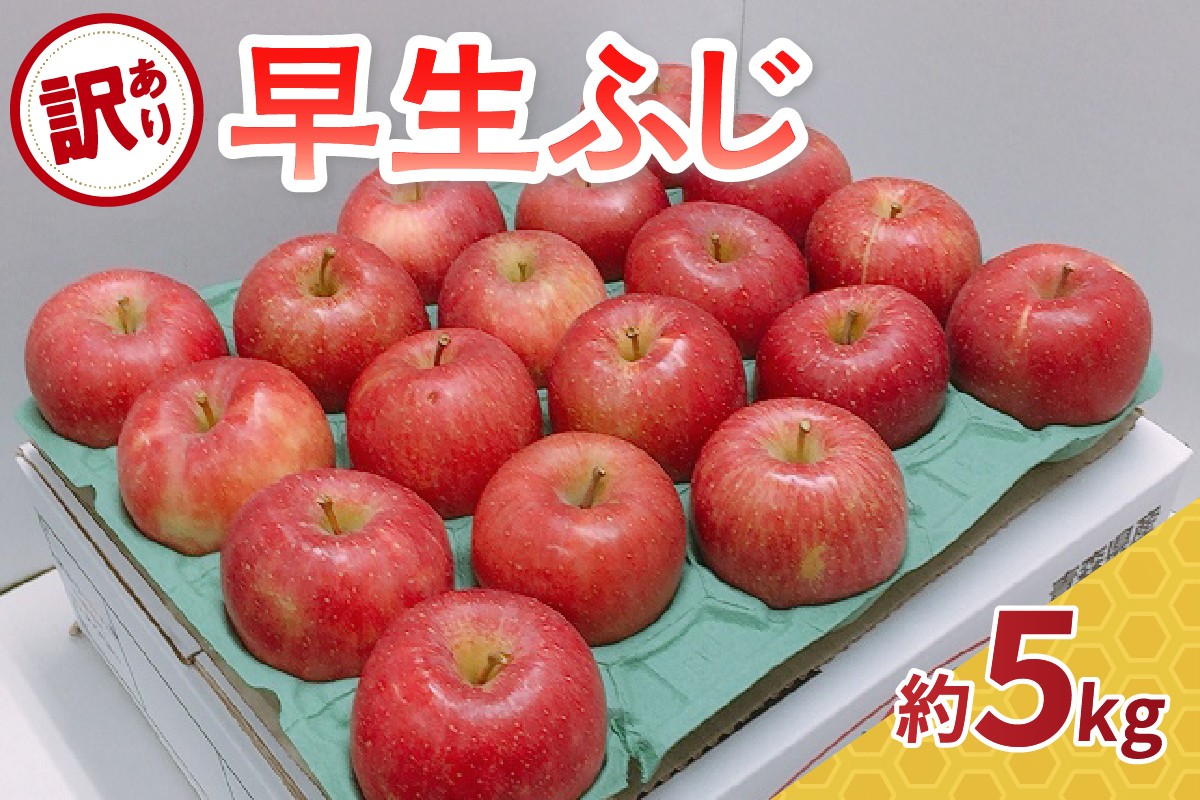 
            【2025年10月発送】 【訳あり】 りんご 早生 ふじ 約 5kg 青森 産
          