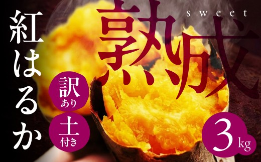 先行予約 訳あり さつまいも 3kg サイズ無選別 紅はるか サツマイモ 熟成 焼き芋 スイートポテト さつまいも いも 芋 イモ 焼き芋 スイーツ 甘い 野菜 田原市 渥美半島 大きさ不揃い