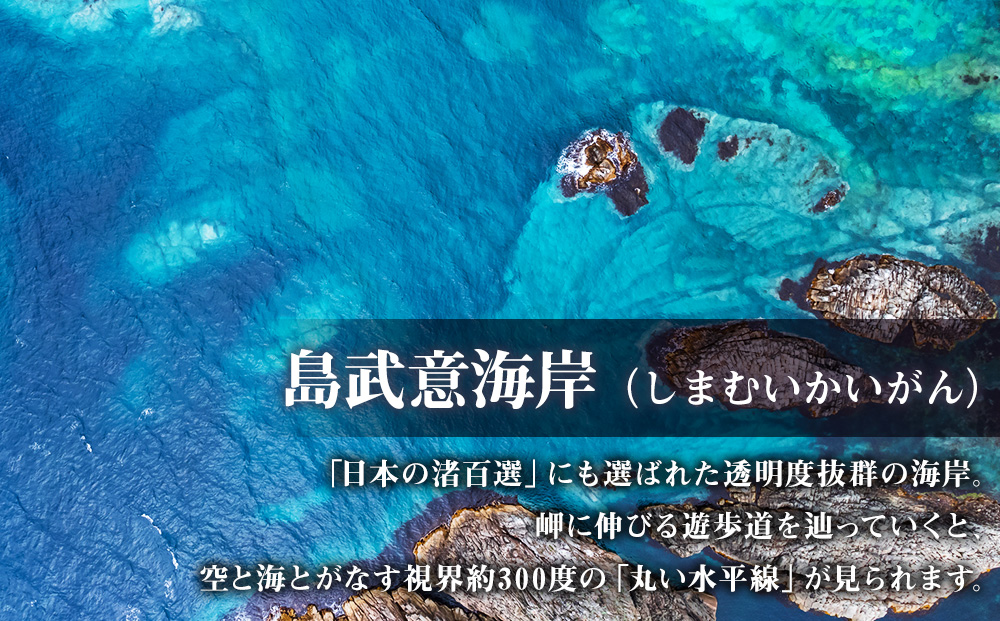 北海道 積丹町☆応援寄付金☆【返礼品なし】10,000円