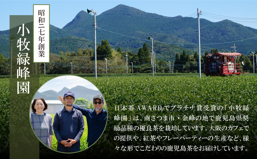 【鹿児島県産】特撰深蒸し茶「峰の誉」3本セット